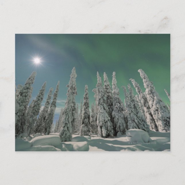 Aurora Borealis Postcard (Front)