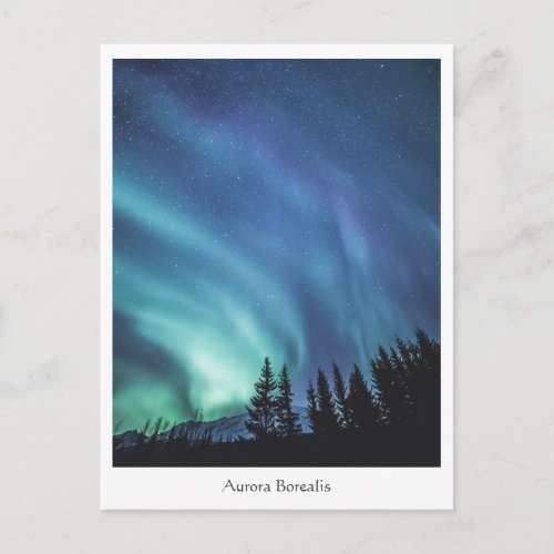 Aurora Borealis Postcard