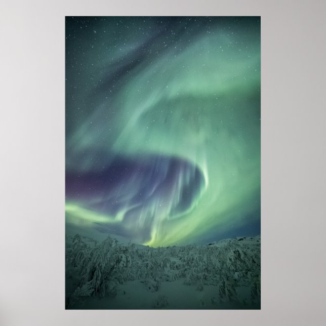 Aurora Borealis Poster (Front)