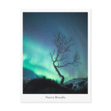 Aurora Borealis Tree