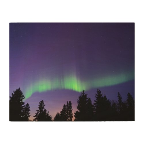 Aurora Borealis  Trees  Manitoba Canada Wood Wall Art