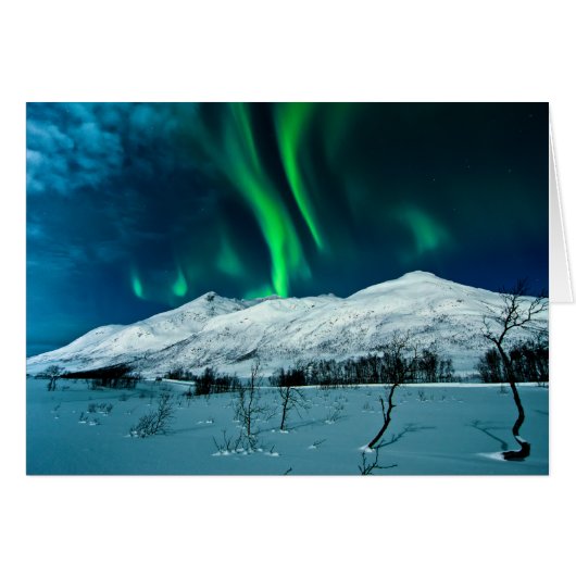 Aurora Cards (Front Horizontal)