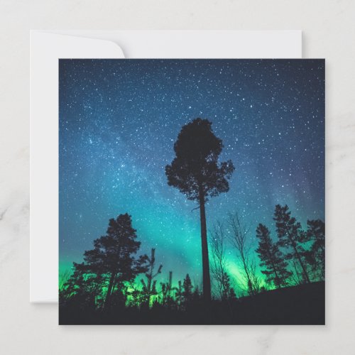 Aurora Forest Card