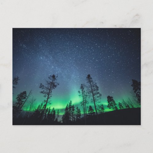 Aurora Forest Postcard