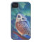 Aurora Owl