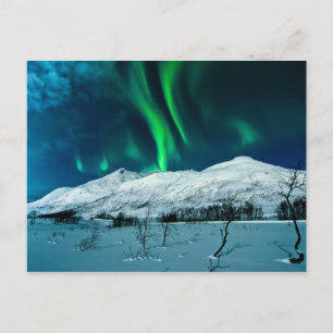 Aurora Postcard
