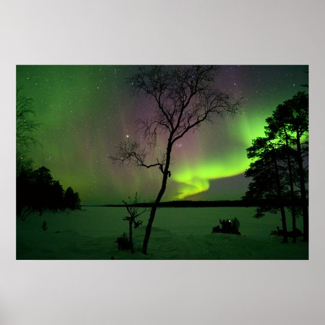 Aurora Poster (Front)