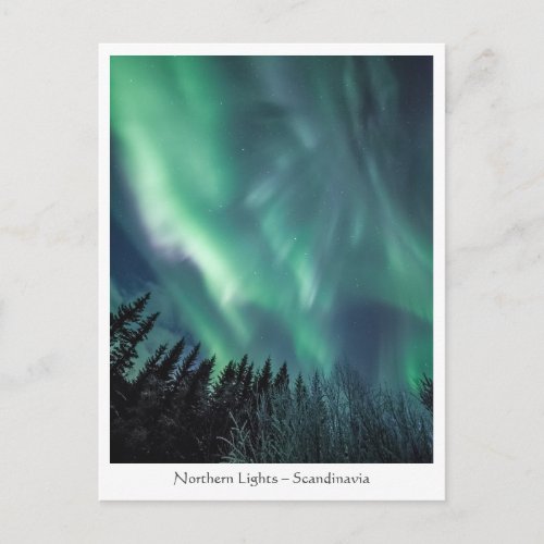 Aurora Scandinavia Postcard