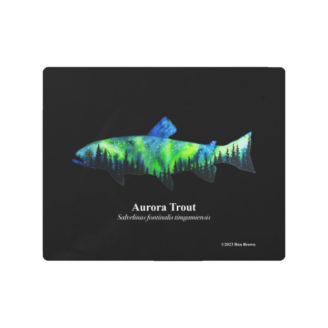 Aurora Trout; Metal Print; Black; 10"x8" Metal Print (Front)