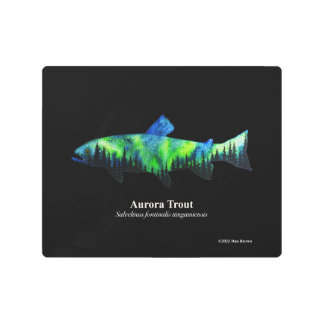 Aurora Trout; Metal Print; Black; 10"x8" Print