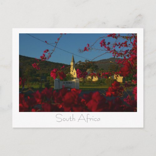 Aurora West Coast Flowers South Africa SA Postcard
