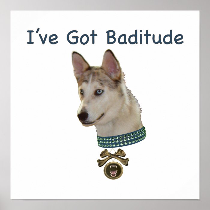 Ausky Dog with Baditude Print