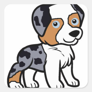 aussie blue merle cartoon square sticker