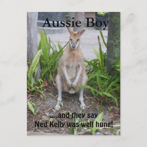 Aussie Boy postcard