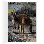 Aussie Bush Kangaroo, (Inside (Right))