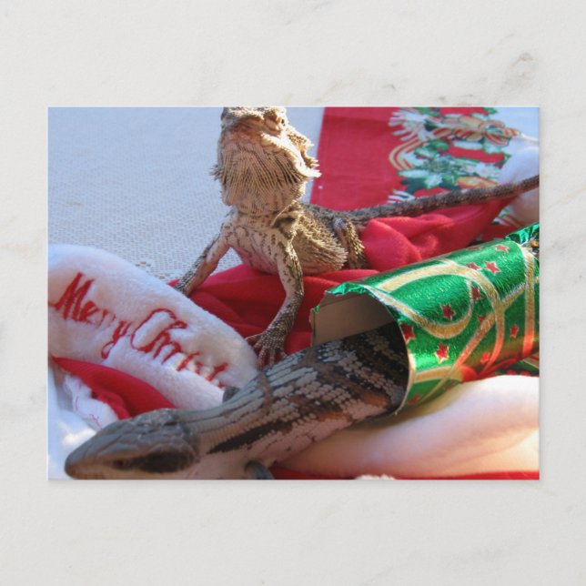 Aussie Christmas Postcard (Front)