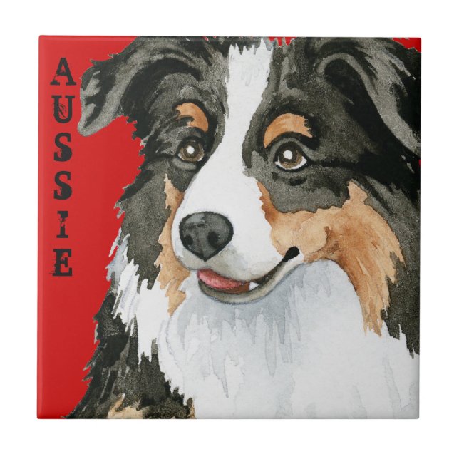 Aussie Color Block Ceramic Tile (Front)