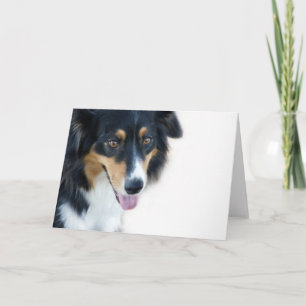 Aussie Dog Blank Card