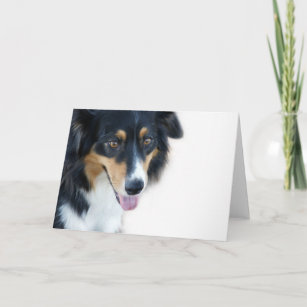 Aussie Dog Blank Card