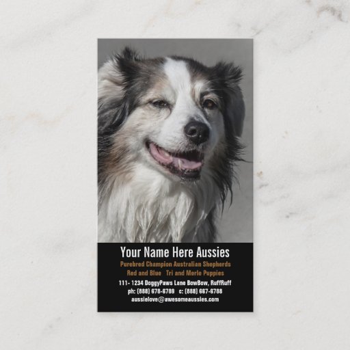 Customizable Aussie Dog Breeder Australian Shepherds Business Card