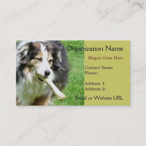 Customizable Aussie  Dog  Business Card