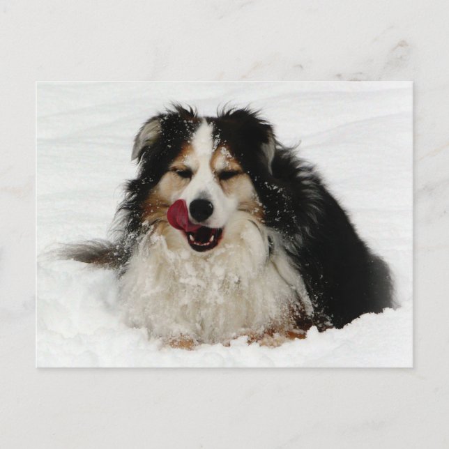 Aussie Dog Tongue Postcard (Front)