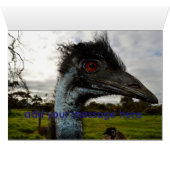 Aussie Emu Attraction, (Inside Horizontal (Bottom))