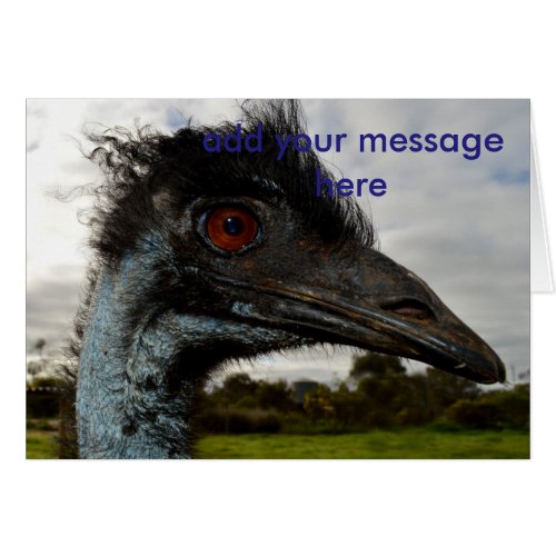Aussie Emu Attraction