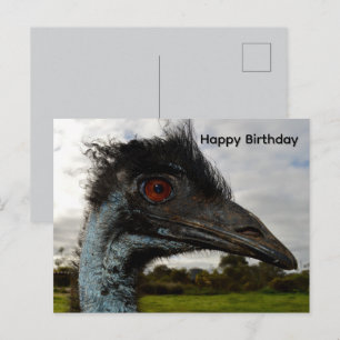 Aussie Emu Attraction, Birthday Postcard