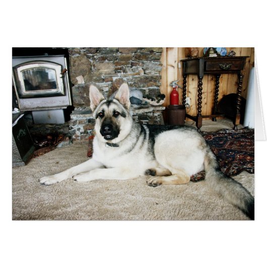 Aussie Full View/Fireplace (Front Horizontal)