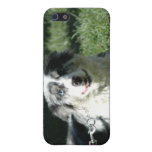 Aussie Herd Dog iPhone 4 Case