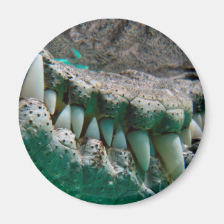 Aussie Icon - Big Croc Terry 2 - Magnet