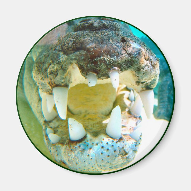 Aussie Icon - Big Croc Terry - Magnet (Front)