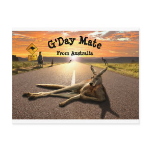 Aussie Kangaroo Postcard