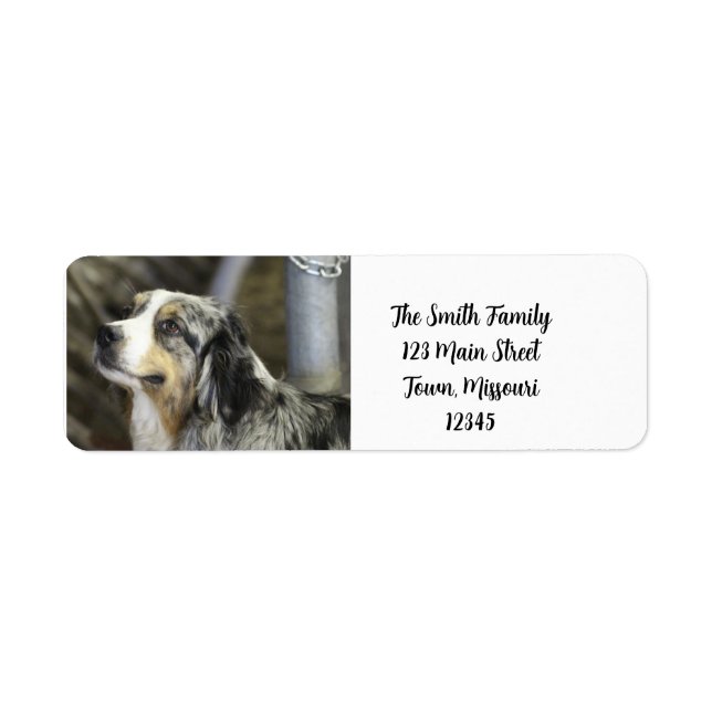 Aussie  label (Front)