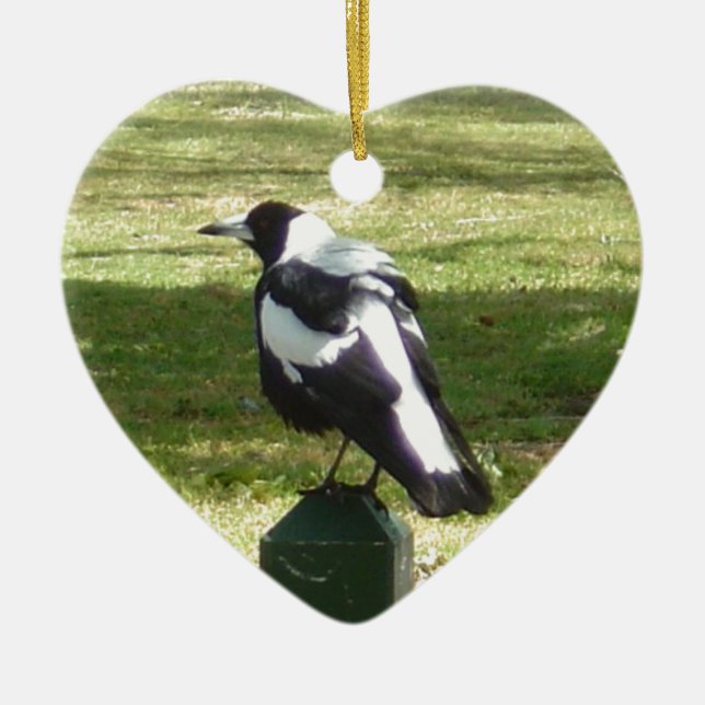Aussie Magpie Ceramic Ornament (Front)
