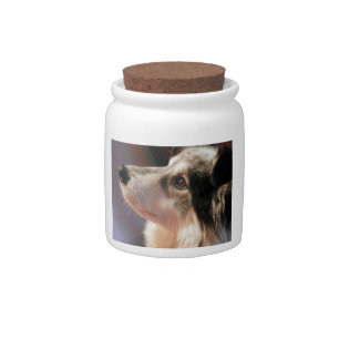 Aussie Mix Candy/Condiment holder Candy Jar