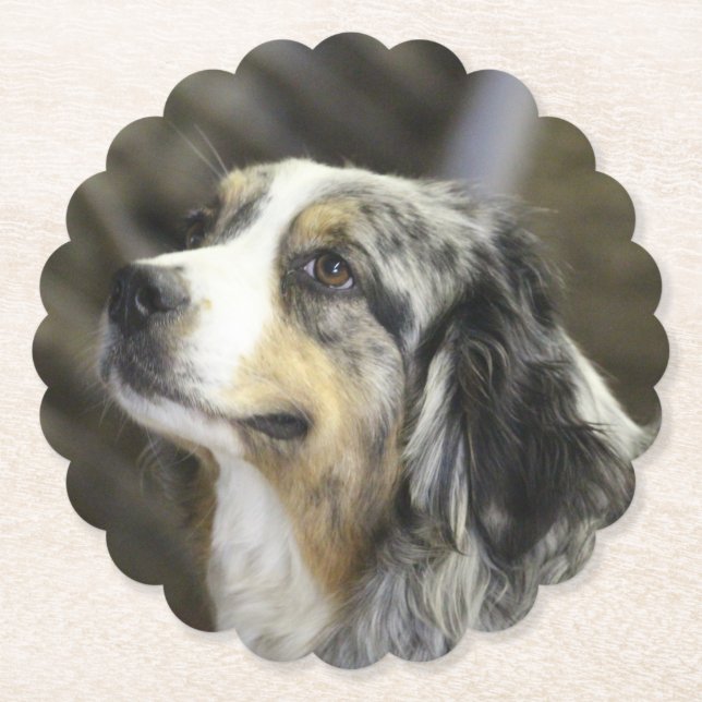 Aussie  paper coaster (Front)