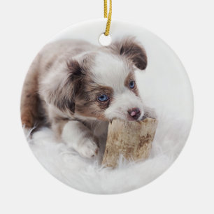 aussie red merle pup ceramic ornament