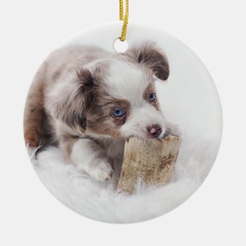Aussie Red Merle Pup Ceramic Ornament by BreakoutTees at Zazzle
