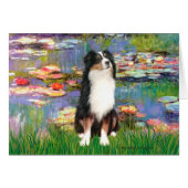 Aussie Shep 2 - Garden (Front Horizontal)