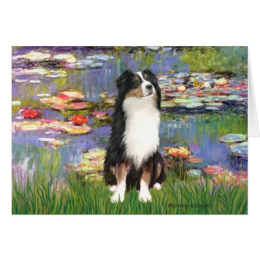 Aussie Shep 2 - Garden Cards (Front Horizontal)