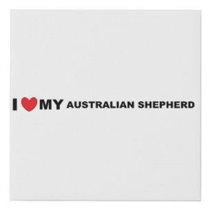 aussie shep love faux canvas print