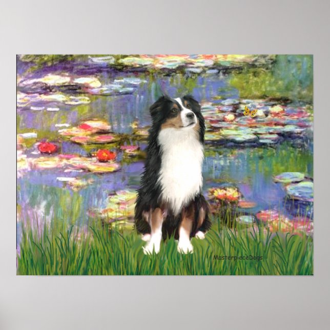 Aussie Shep (Tri2) - Lilies #2 Poster (Front)