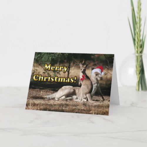 Aussie Style Christmas Kangaroos Holiday Card