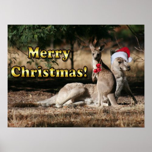 Aussie Style Christmas Kangaroos Poster