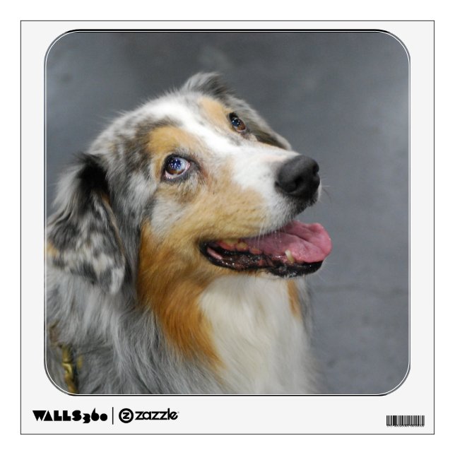 Aussie Wall Decal (Front)