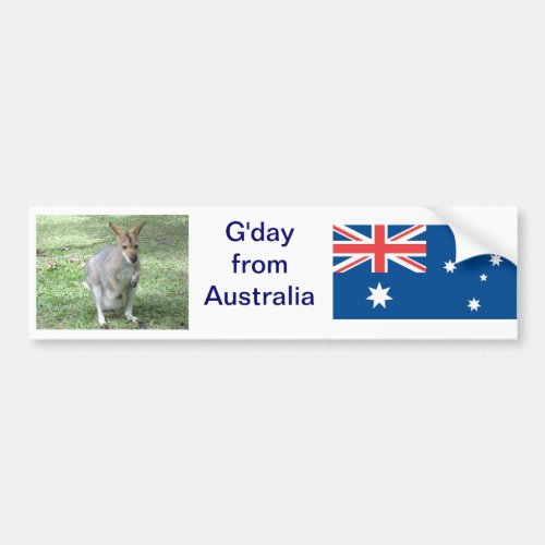 Aussie Wallaby Gday Bumper Sticker