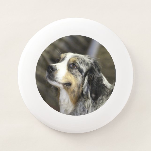 Aussie   Wham-O frisbee (Front)