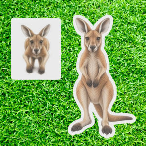 Aussie Wildlife Kangaroos Sticker